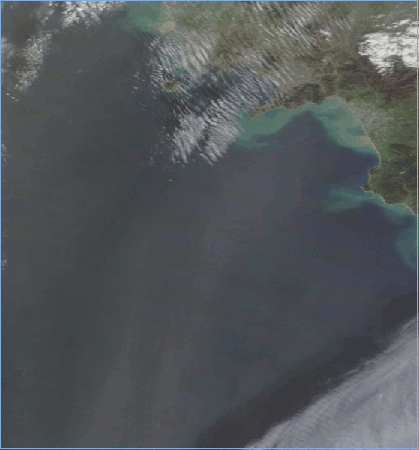  Nel dettaglio si notano le fasce di sabbia di colore marrone sul Mar Tirreno meridionale con flusso da S verso N 